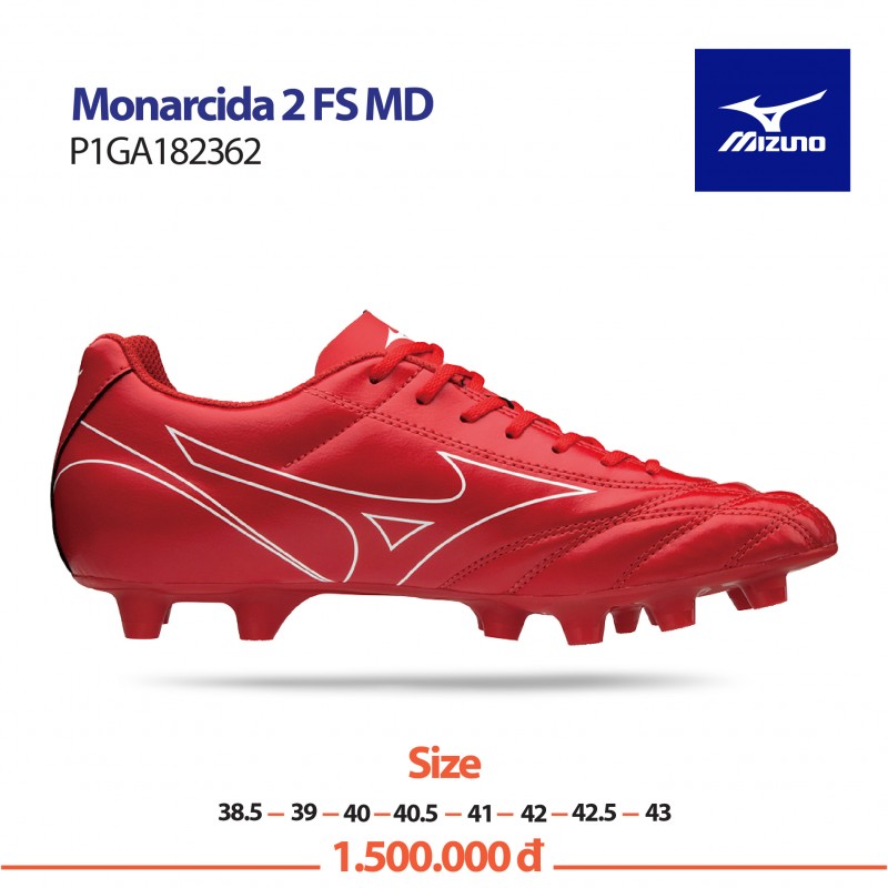 Monarcida 2 fs store md